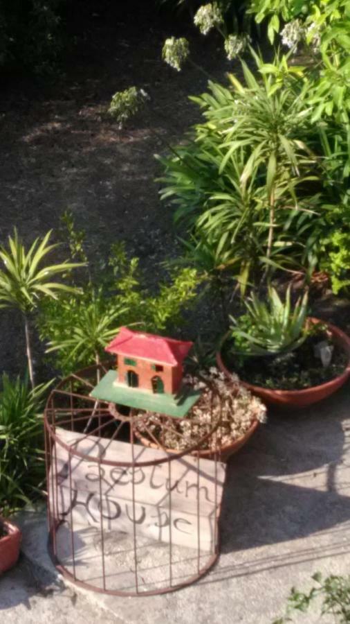 Paestum House Bed & Breakfast Luaran gambar
